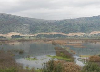 Γέμισε με νερό ο βάλτος στην Κατούνα