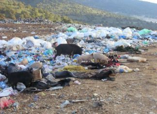 Πρόστιμα 12,67 εκατ. ευρώ την ημέρα για τις χωματερές