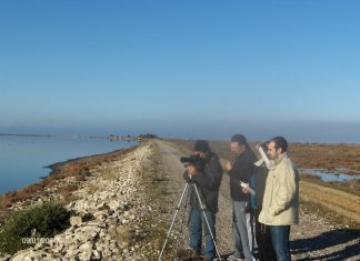 Πραγματοποιήθηκε το Σεμινάριο Παρατήρησης και Αναγνώρισης Πουλιών