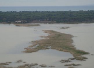 «Σπείρα» από το Μεσολόγγι άπλωσε τα δίχτυα της στην λιμνοθάλασσα Κοτυχίου