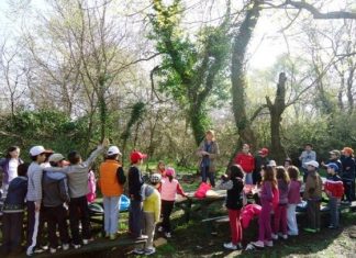 Σεμινάριο για τους εκπαιδευτικούς από το ΚΠΕ Μεσολογγίου – Θέρμου