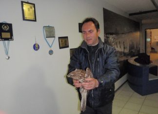 Ο Φορέας Διαχείρισης Υγροτόπων Αμβρακικού περισυνέλεξε μια τραυματισμένη γερακίνα