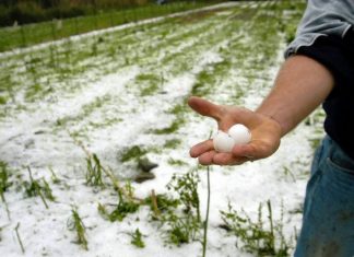 Αρκετές ζημιές σε καλλιέργειες στον κάμπο του Αγρινίου και της Παραχελωΐτιδας
