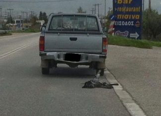 Συνελήφθη και αφέθη ελεύθερος ο ιδιοκτήτης του αγροτικού που έσερνε τον σκύλο