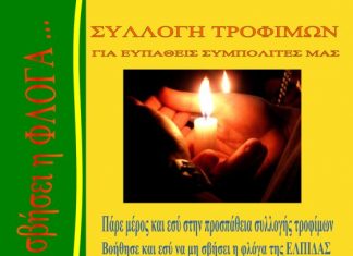 Συλλογή τροφίμων από τους προσκόπους