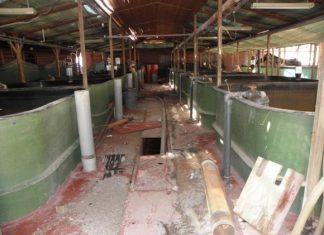 Αντίστροφη μέτρηση για τη μεταβίβαση του ΙΧΘΥΚΑ σε ιδιώτη