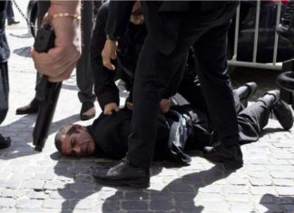 Το ένστικτο της επιβίωσης απέναντι στην απελπισία