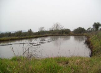 Καταγγέλλουν μόλυνση στη Παραβόλα από ελαιοτριβείο