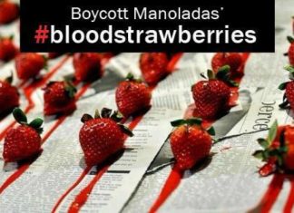 Να τις φάνε μόνοι τους