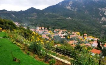 « “Αι γενεαί πάσαι” : Ρίζες και κλωνάρια ενός Πλατάνου» βιβλιοπαρουσιάση στον Πλάτανο Ναυπακτίας