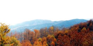 Δήμος Αγρινίου: Πρόταση για μονοπάτια σε Αράκυνθο και Τριχωνίδα