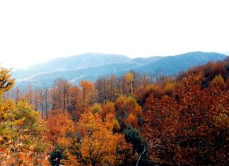Το Μονοπάτι των Εξοδιτών στον Αράκυνθο