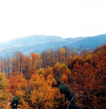 Το Μονοπάτι των Εξοδιτών στον Αράκυνθο