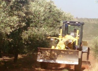 Παρεμβάσεις του Δήμου Μεσολογγίου στα πλαίσια της Πολιτικής Προστασίας