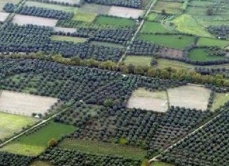 Οι αντικειμενικές τιμές των οικοπέδων στην Αιτωλοακαρνανία