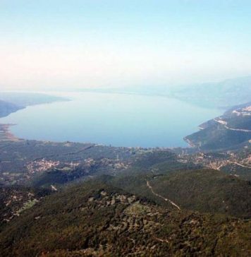 Το Ολοκαύτωμα της Μακρυνείας