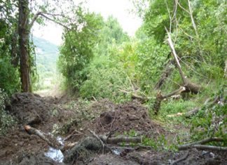 “Οικολογική καταστροφή στα Λουτρά Στάχτης…”