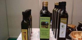 Καινοτόμες πρακτικές και ευεργετικές ιδιότητες του μεσογειακού ελαιολάδου σε ημερίδα με τη συμμετοχή της Περιφέρειας Δυτικής Ελλάδας