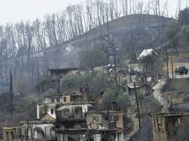 Στουρνάρας: Πού πήγαν τα λεφτά του Ταμείου Μολυβιάτη – Μόνο 2,6 πήγαν στα καμμένα