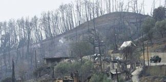 Στο πλευρό των πυρόπληκτων της Δωρίδας και της Αρχαίας Ολυμπίας οι φορείς της Ναυπάκτου