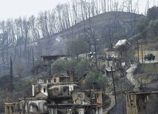 Στο πλευρό των πυρόπληκτων της Δωρίδας και της Αρχαίας Ολυμπίας οι φορείς της Ναυπάκτου