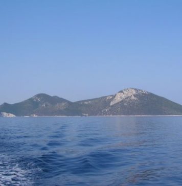 Ο θαυμαστός μικρόκοσμος των Εχινάδων και του εσωτερικού αρχιπελάγους του Ιονίου