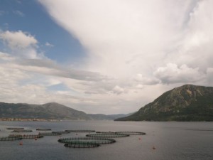 Ο Κάλαμος (δεξιά), ο Μύτικας στο Ξηρόμερο (αριστερά) και ιχθυοκαλλιέργειες
