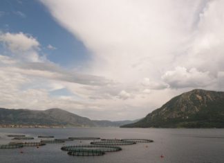 Τουριστικό προϊόν και ιχθυοκαλλιέργειες