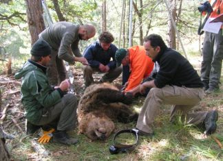 Ορθώς δεν αντέδρασε ο Αρκτούρος στη δωρεά του Νίκου Μιχαλολιάκου