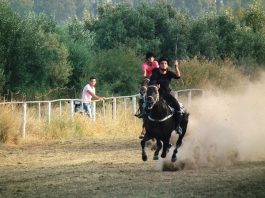 Ιπποδρομίες και επίδειξη αλόγων στο Ευηνοχώρι