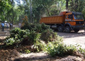 Το “παρκάδιο”