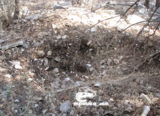 Στόχος αρχαιοκαπήλων έχουν γίνει οι αρχαίες Όλπες