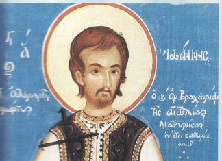 Ο Άγιος Ιωάννης ο Νεομάρτυρας, ο Βραχωρίτης.