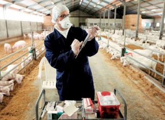 Στη βουλή το κλείσιμο αγροτικών κτηνιατρείων σε Κατούνα, Θέρμο, Ναύπακτο και Κατοχή