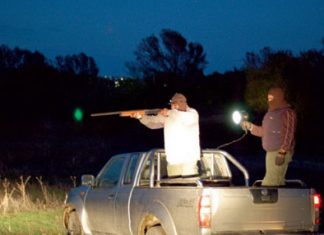 Συλλήψεις λαθροθήρων