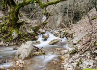 Aγ. Παρασκευή / Ζελίχοβο, πρ. δήμος Παναιτωλικού