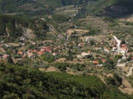 Εκδήλωση προς τιμήν των πολύτεκνων οικογενειών της Κυπάρισσου παρουσία Ιερώνυμου