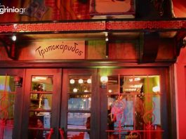 Τρυποκάρυδος