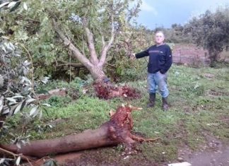 Ανεμοστρόβιλος σάρωσε την Παλαιομάνινα !