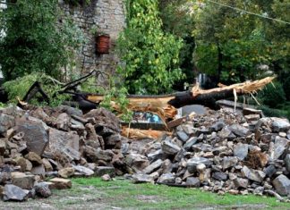 Για τις πτώσεις δένδρων στο πάρκο Αγρινίου
