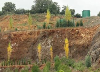 Περιβαλλοντικό πάρκο από την KNAUF στο Ξηρόμερο