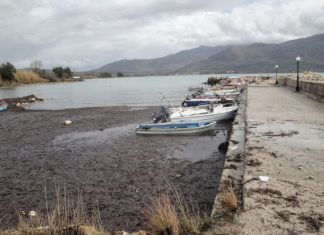 Άθλια η κατάσταση στο αλιευτικό καταφύγιο της Πωγωνιάς