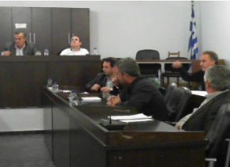Κοτσανάς μαινόμενος