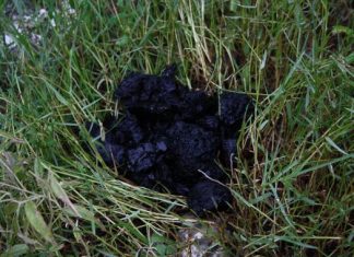 Κομμάτι μετεωρίτη έπεσε στα Καλύβια ;