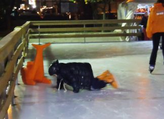 Έχ’ να πάει σκασά…