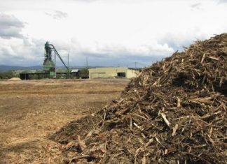 Βιομάζα : Η ανανεώσιμη πηγή ενέργειας που διχάζει τους επιστήμονες