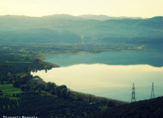 Η ιχθυοπανίδα της Τριχωνίδας