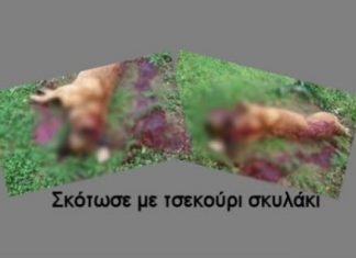 Κτηνοτρόφος στο Μεσολόγγι σκότωσε με τσεκούρι σκυλάκι