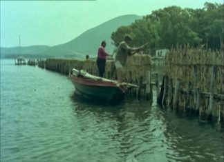 Χέλια :  Οι μετανάστες του βυθού