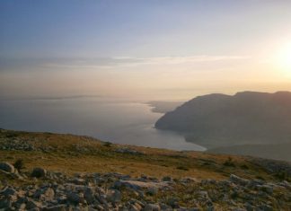 Η Βαράσοβα και το στενότοπο ενδημικό φυτό της
